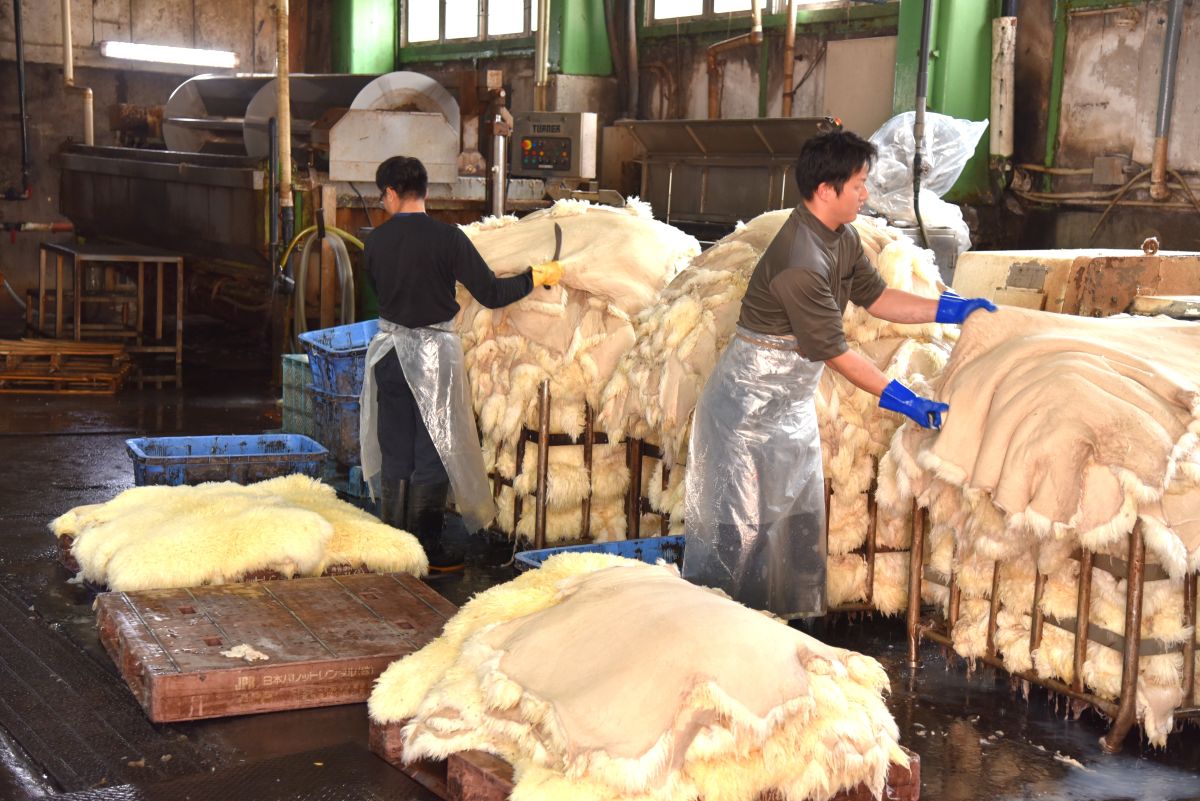 触るとわかる独特の弾力