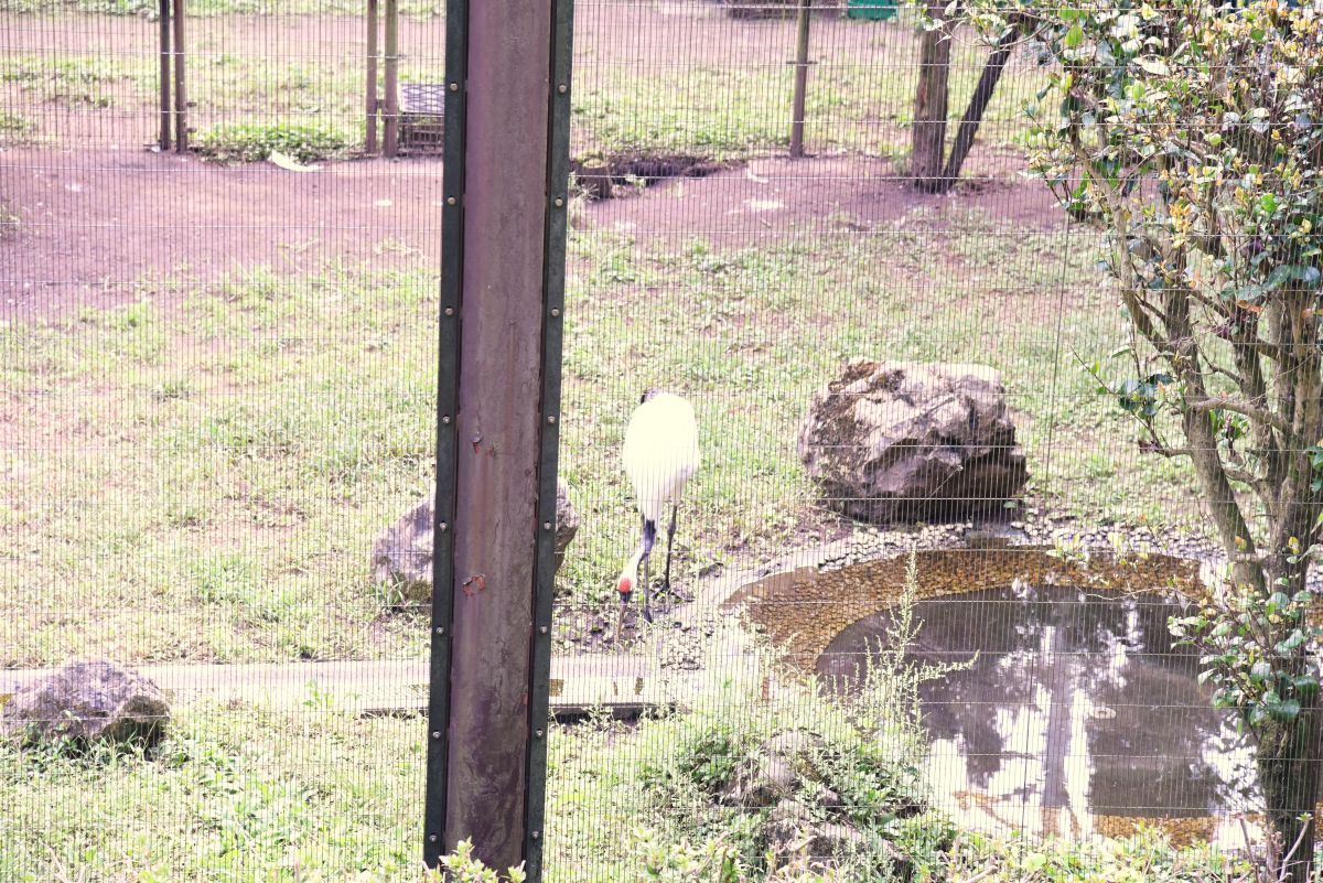 みのりの森の遊歩道から見られる