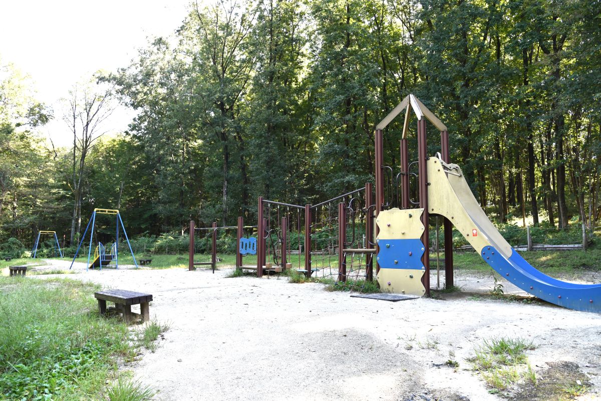 自然の中でお子さんと遊べる