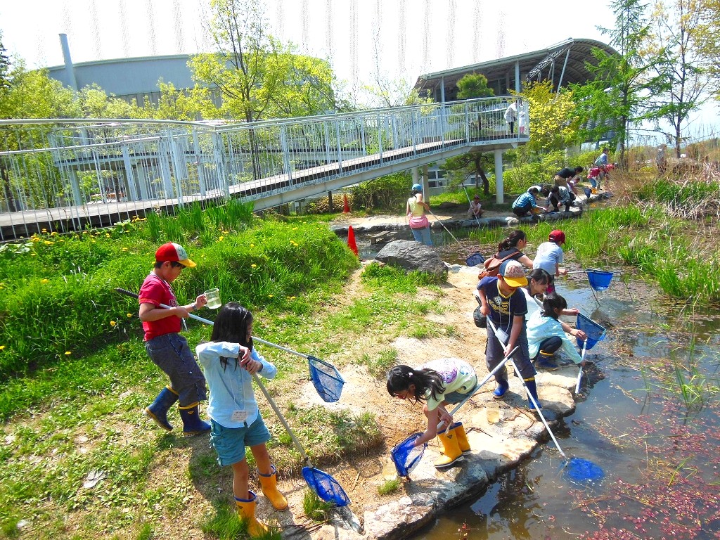 お池の探検隊