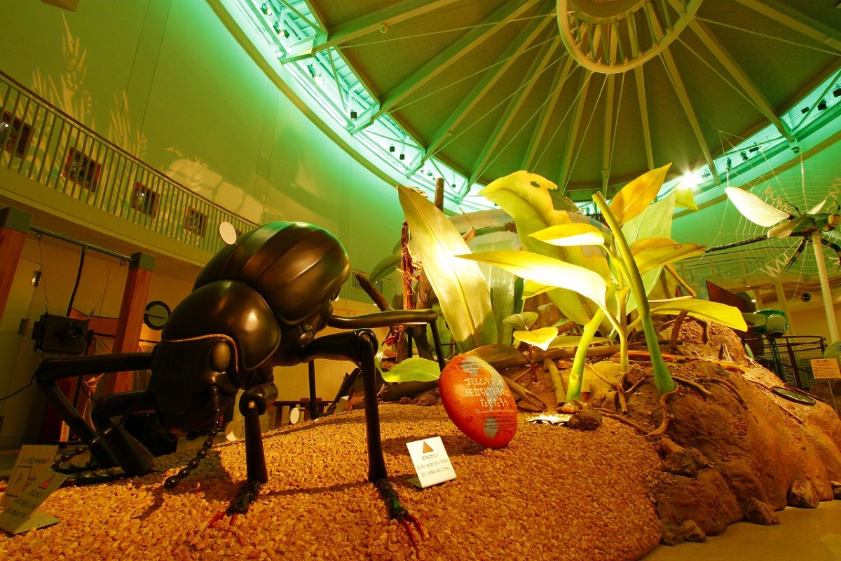 なぜだろうランド