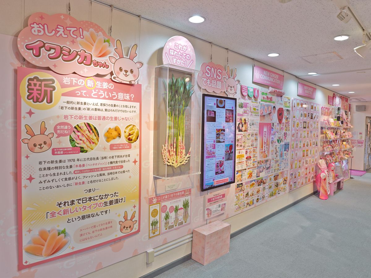 展示コーナー